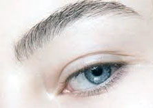 nourishbrow1